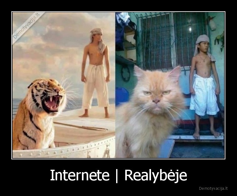internetas,kietas