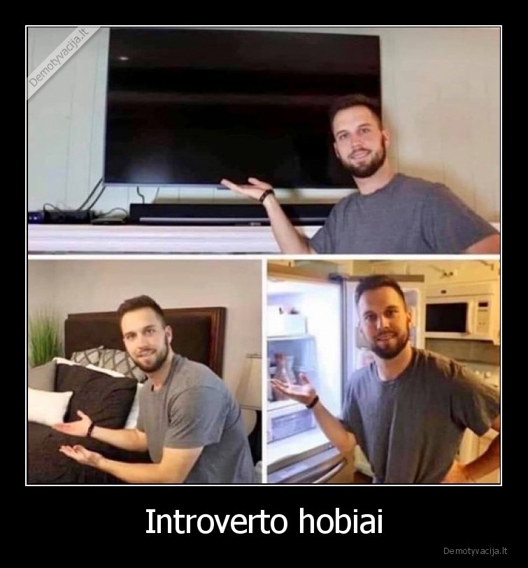 introvertas,hobis