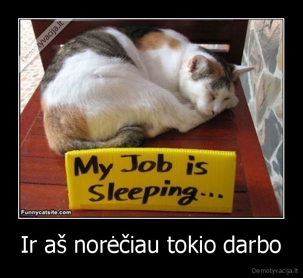 Ir aš norėčiau tokio darbo