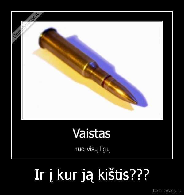Ir į kur ją kištis???