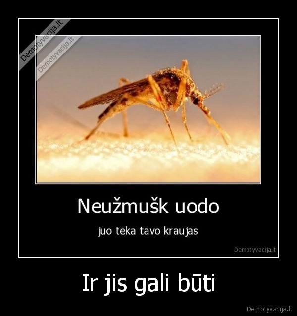 Ir jis gali būti
