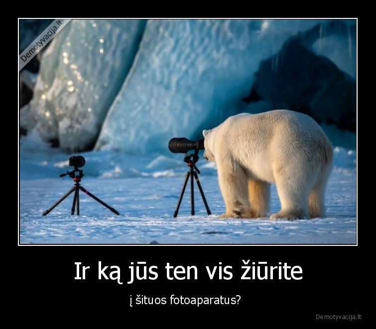 fotoaparatas,meska,siaure