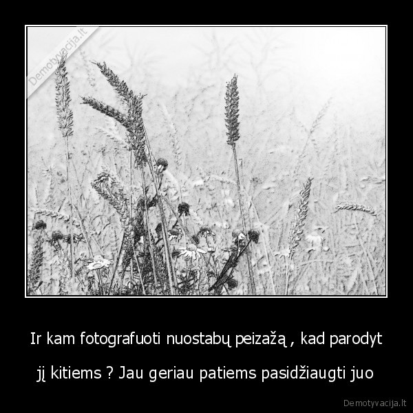 Ir kam fotografuoti nuostabų peizažą , kad parodyt