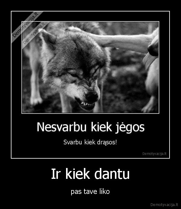 Ir kiek dantu