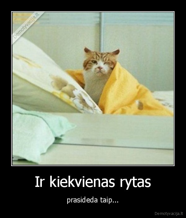Ir kiekvienas rytas