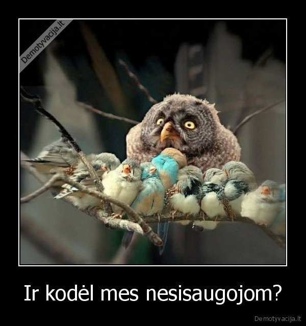 apsaugos, priemones,nesaugus, seksas,peleda