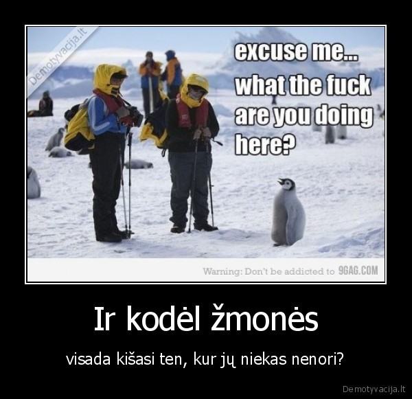 ko, jus, lendat
