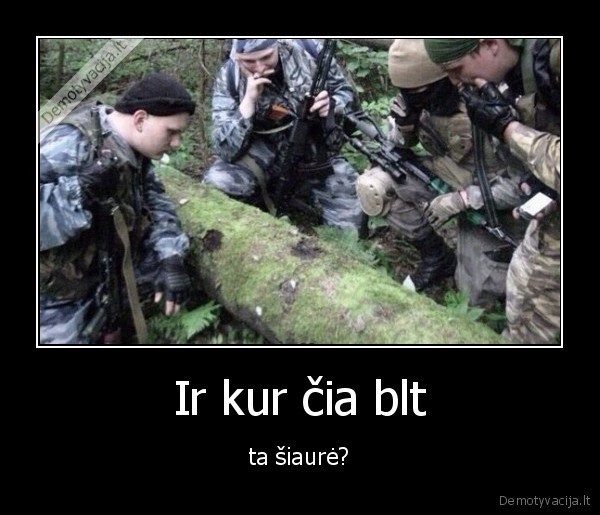 orientacija,miskas