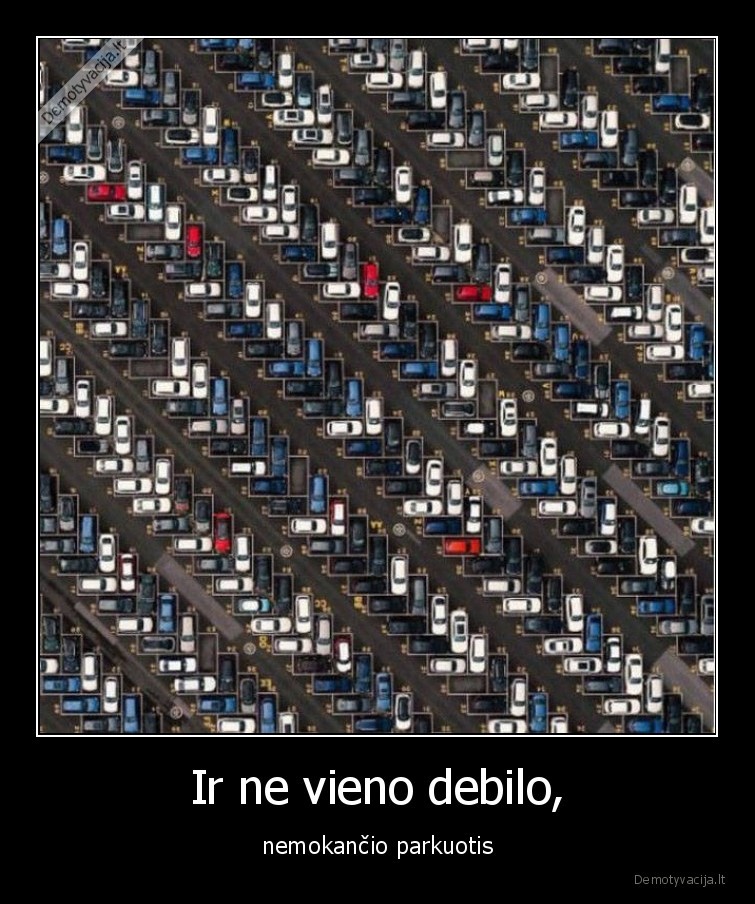 parkuote,masina,parkuotis