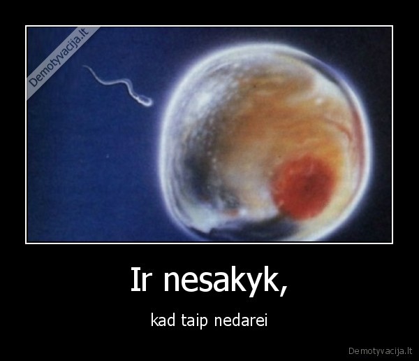 spermatozoidas