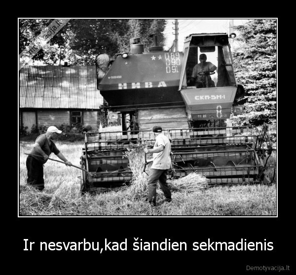 Ir nesvarbu,kad šiandien sekmadienis