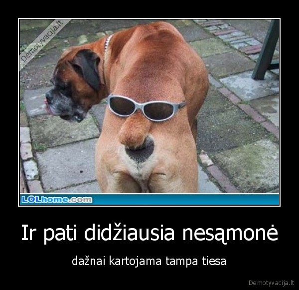 Ir pati didžiausia nesąmonė