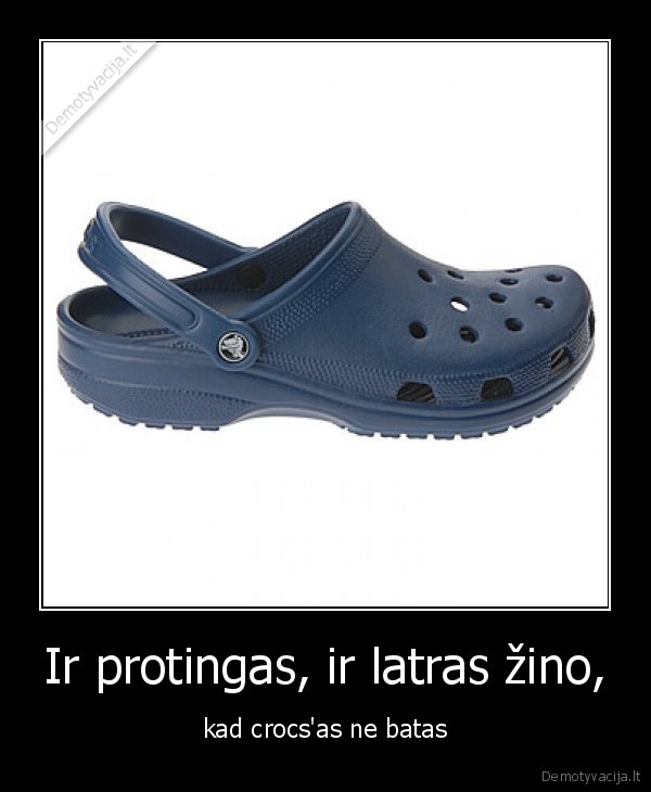 visi, copyrightai, priklauso, zvirbilui, kestuciui., kestutis, the, sparrow, 