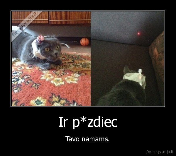 katinas,lazeris,isradimas