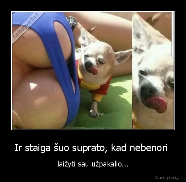 suo,mergina,papai