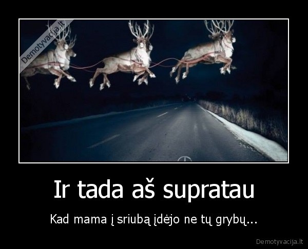 sriuba,grybu, sriuba,apsineses, vairuotojas,skraidantys, elniai