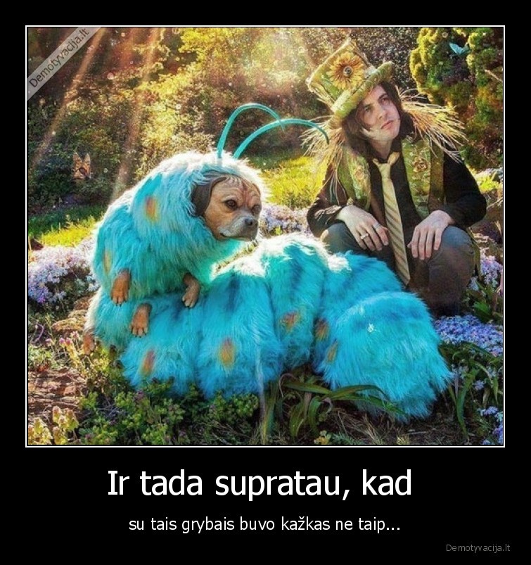 grybai,supratau,ir, tada,suo,haliucinacijos