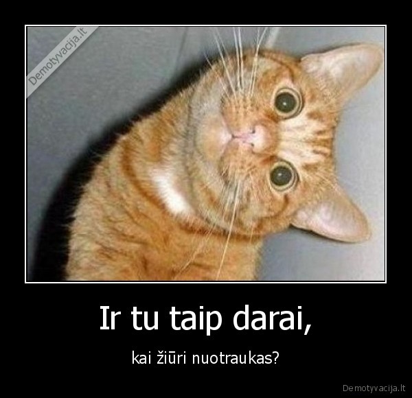 Ir tu taip darai,
