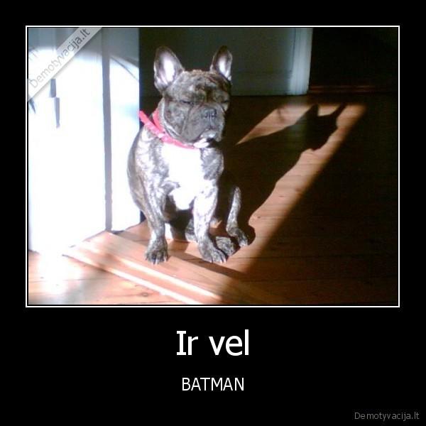 Ir vel