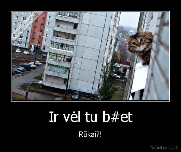 rukymas,sargas,katinas