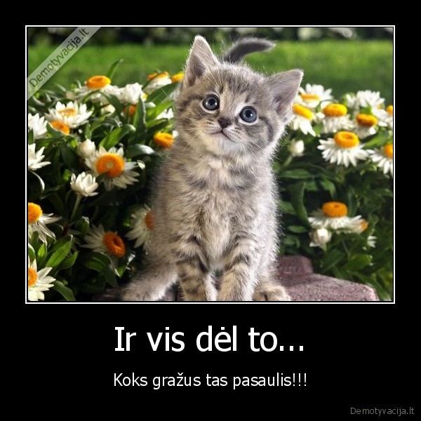 pasaulis
