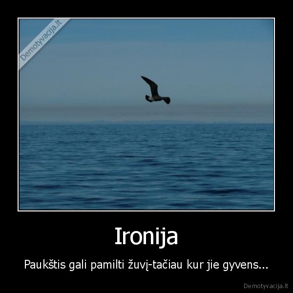 Ironija