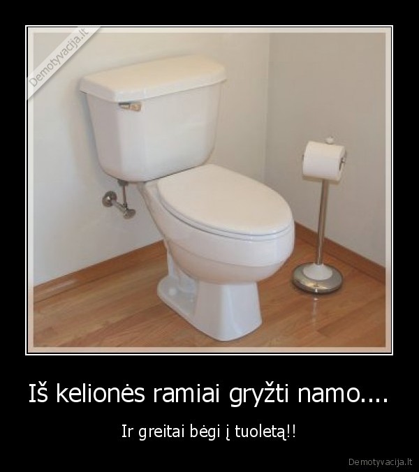 nes,labai,nori,myzt