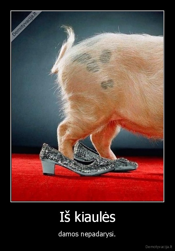 elgesys,gyvunai,zmones