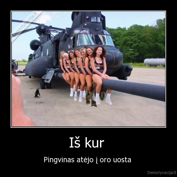 Iš kur 