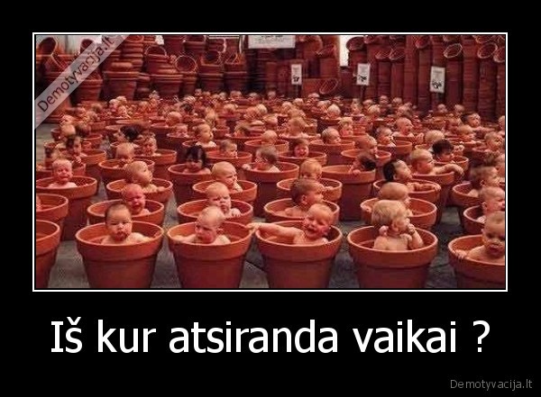 Iš kur atsiranda vaikai ?