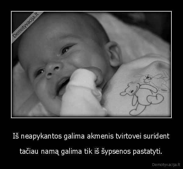 Iš neapykantos galima akmenis tvirtovei surident