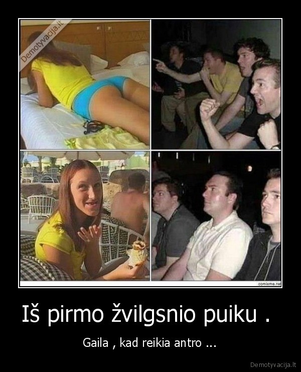 kodel,niekas, nebuna, taip, puiku,kaip, atrodo, girtam, 