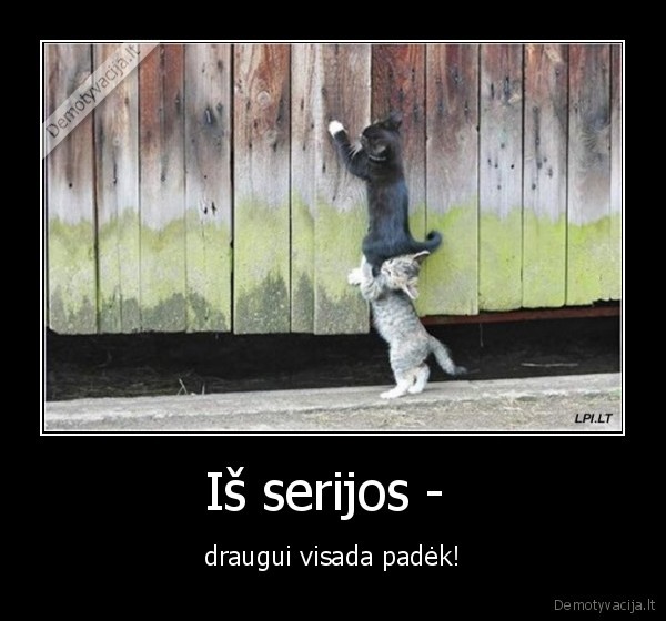 draugas