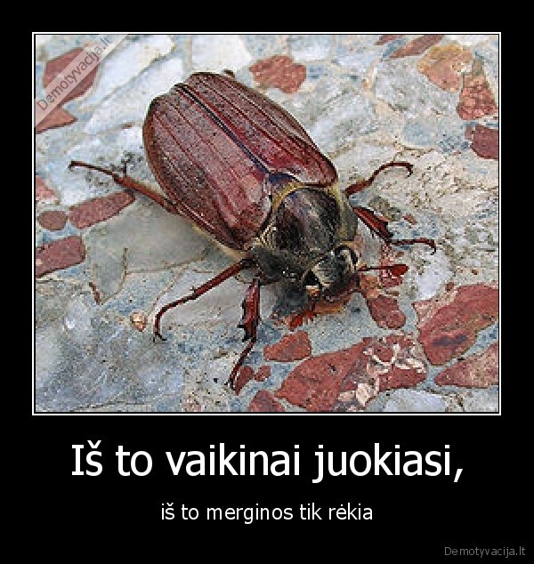Iš to vaikinai juokiasi,