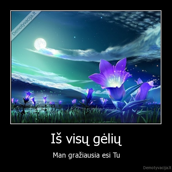 Iš visų gėlių