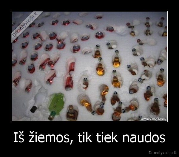 Iš žiemos, tik tiek naudos