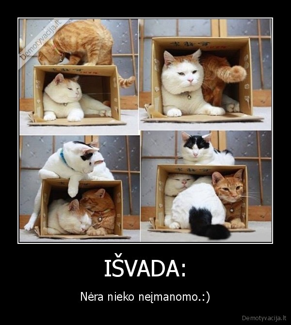 IŠVADA: