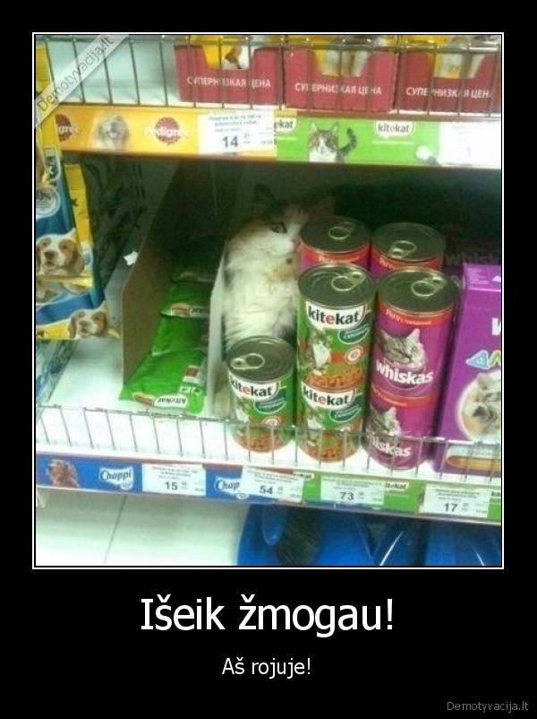 rojus,zmogus,iseiti