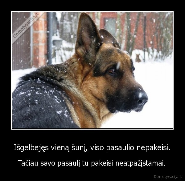 suo, gyvenimas