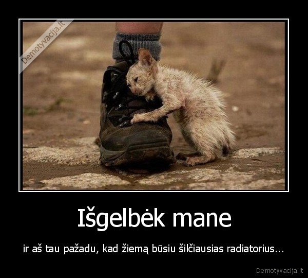 Išgelbėk mane