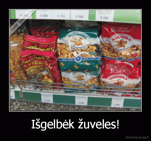 zuveles,gelbeti