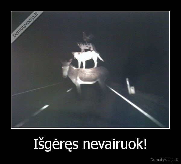 Išgėręs nevairuok!
