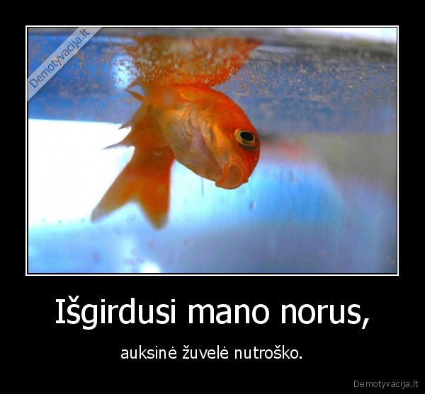 Išgirdusi mano norus,
