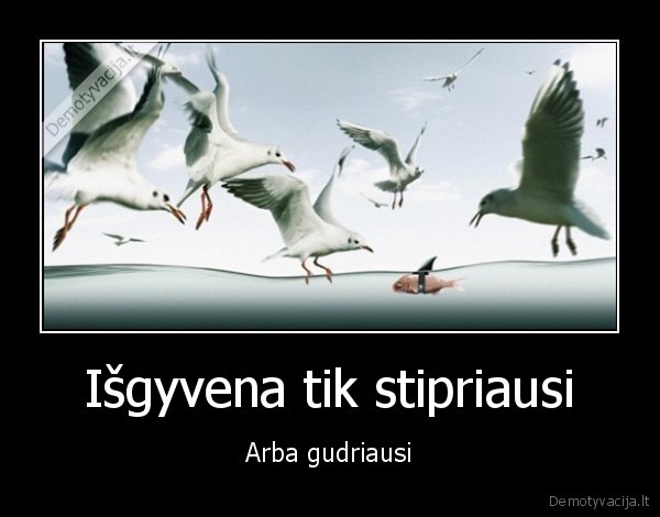 Išgyvena tik stipriausi