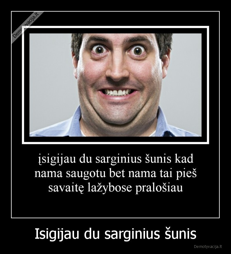 Isigijau du sarginius šunis