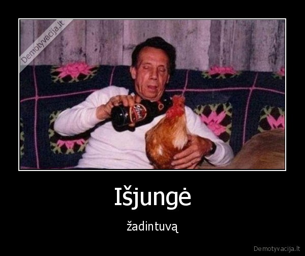 zadintuvas