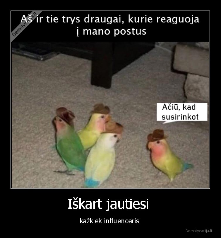 papugeles,draugai,trys