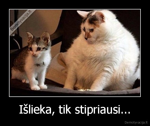 Išlieka, tik stipriausi...