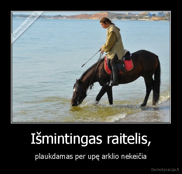Išmintingas raitelis,