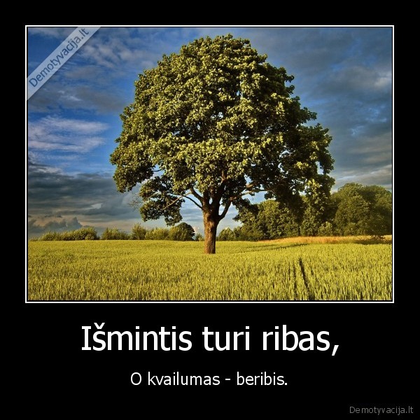 ismintis